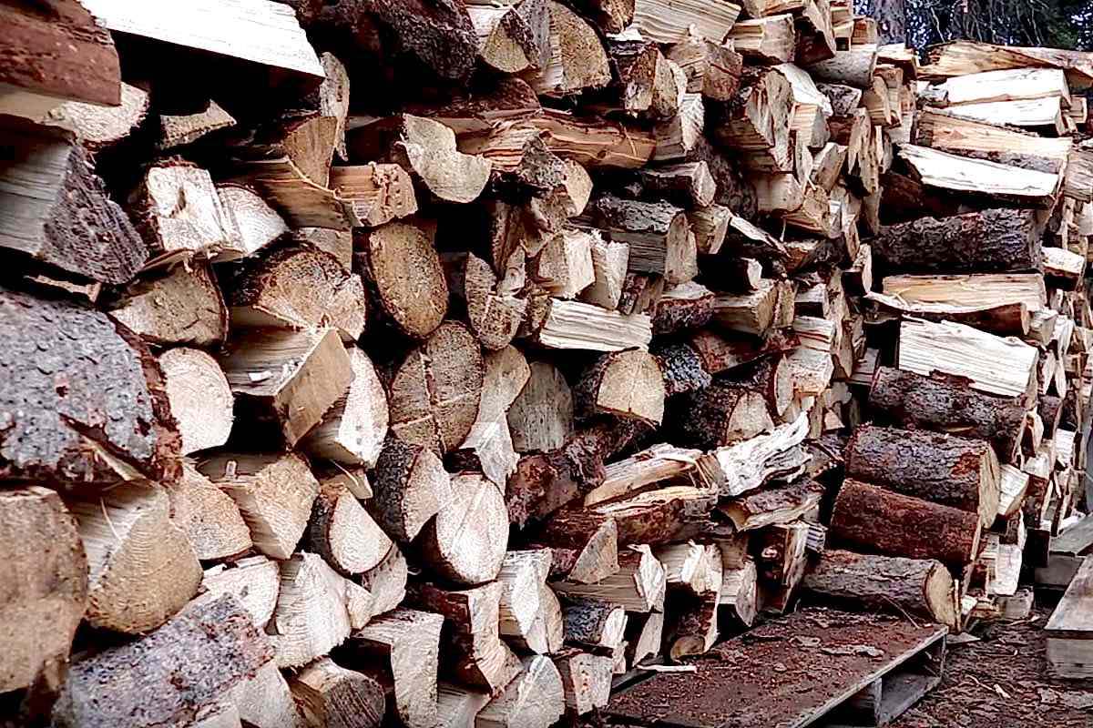 odun ve tahta parçası